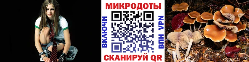 Псилоцибиновые грибы GOLDEN TEACHER  наркошоп  Омутнинск 